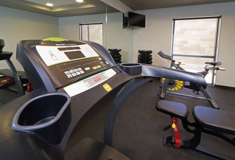 בית מלון כפרי City Express By Marriott Piedras Negras