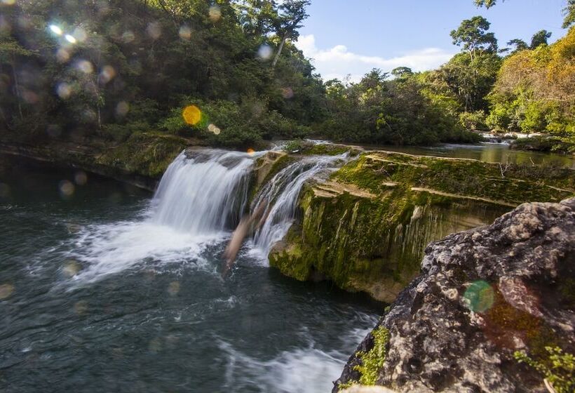 فندق Cotton Tree Lodge
