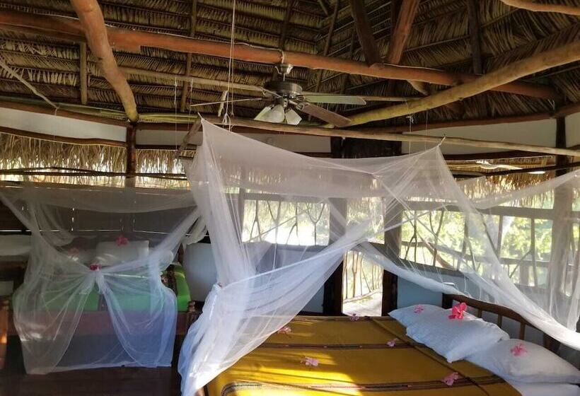 فندق Cotton Tree Lodge