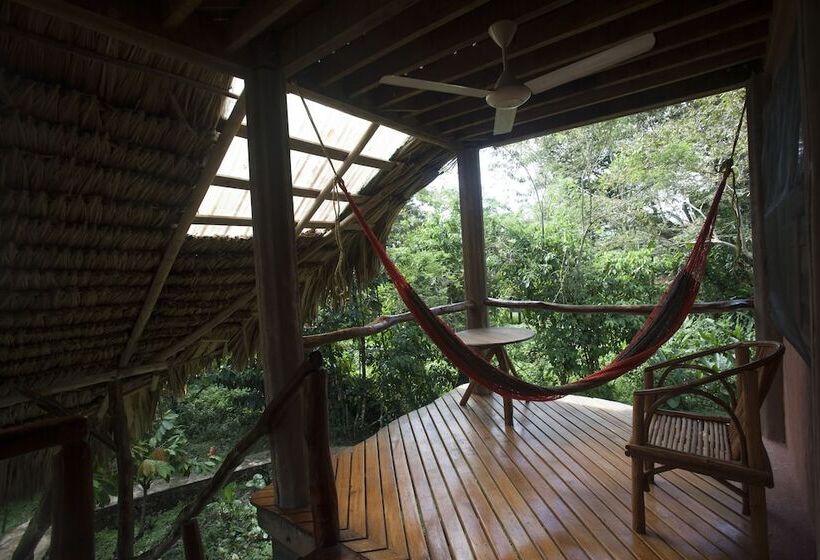 فندق Cotton Tree Lodge