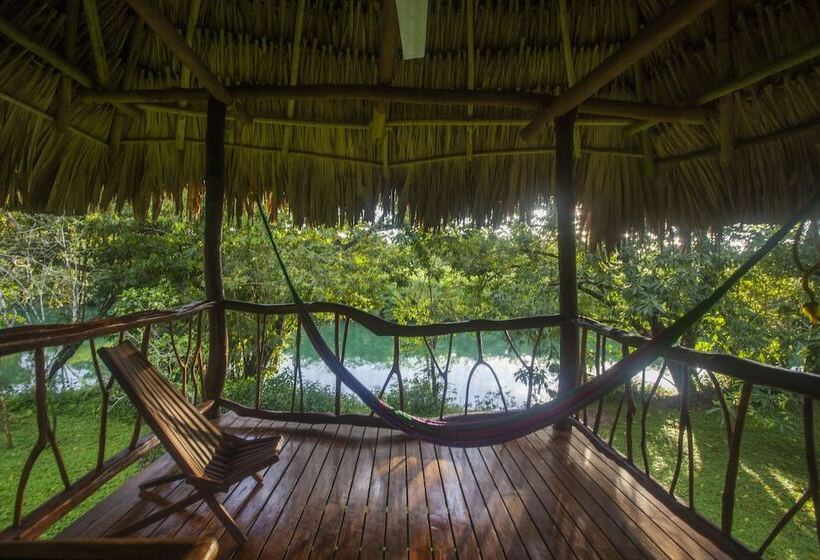 فندق Cotton Tree Lodge