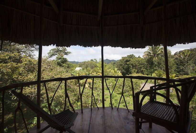 فندق Cotton Tree Lodge