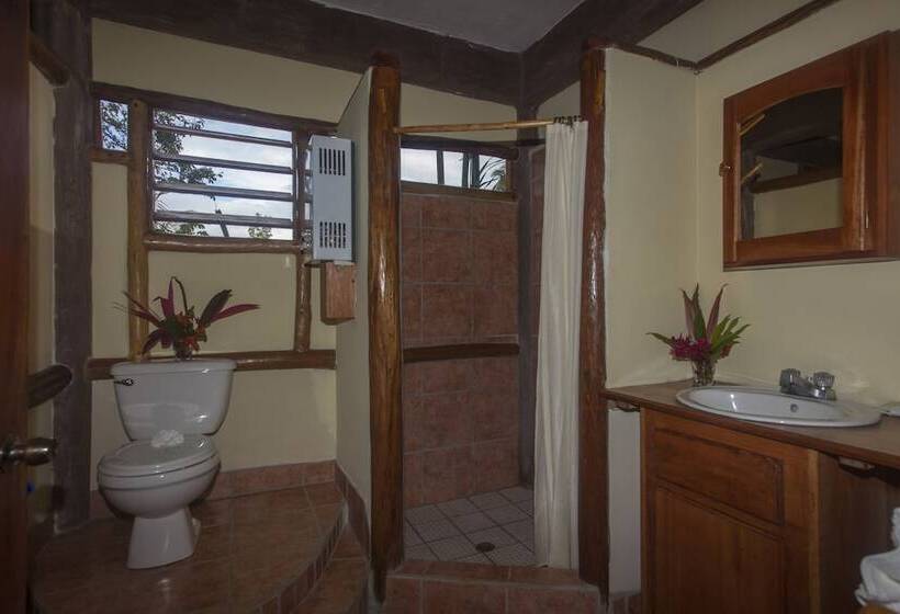 فندق Cotton Tree Lodge