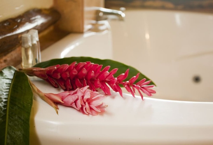 فندق Cotton Tree Lodge