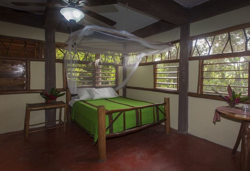 فندق Cotton Tree Lodge