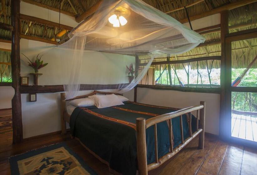 فندق Cotton Tree Lodge