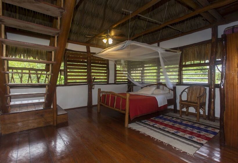 فندق Cotton Tree Lodge