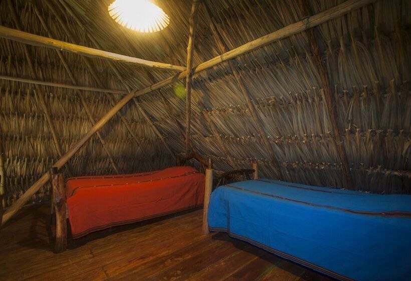 فندق Cotton Tree Lodge