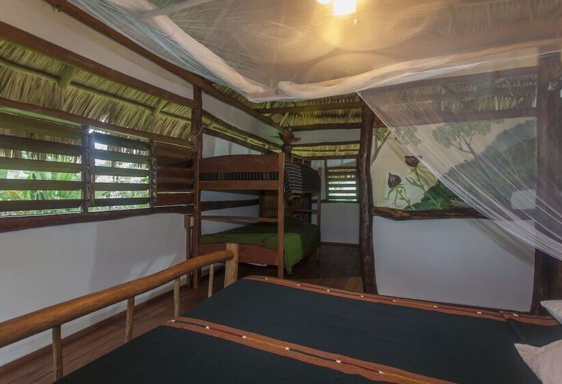 فندق Cotton Tree Lodge