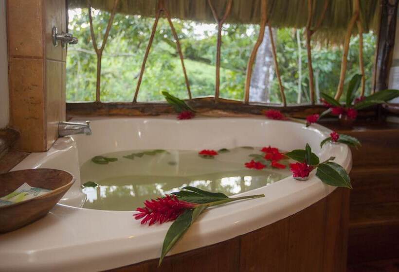 فندق Cotton Tree Lodge