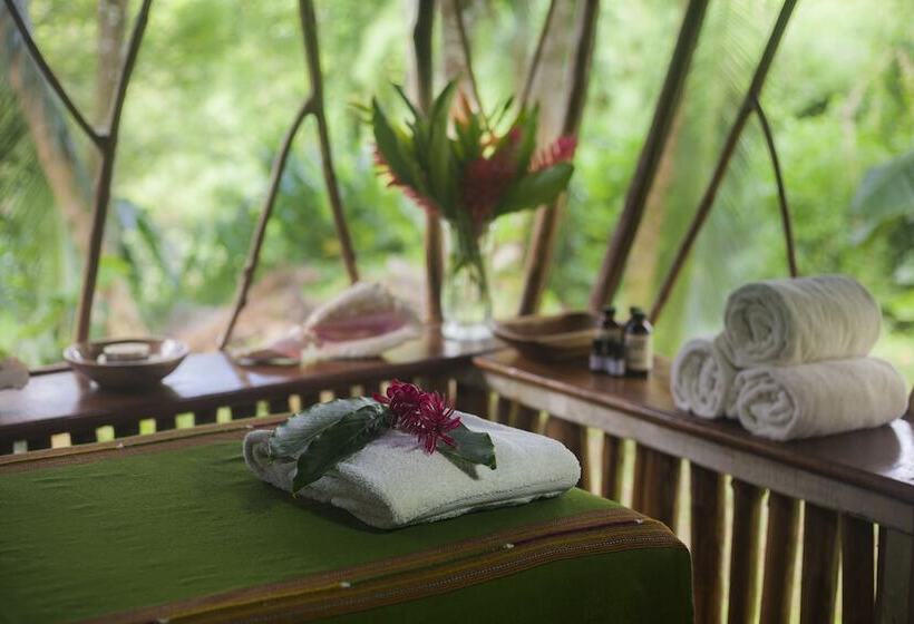 فندق Cotton Tree Lodge