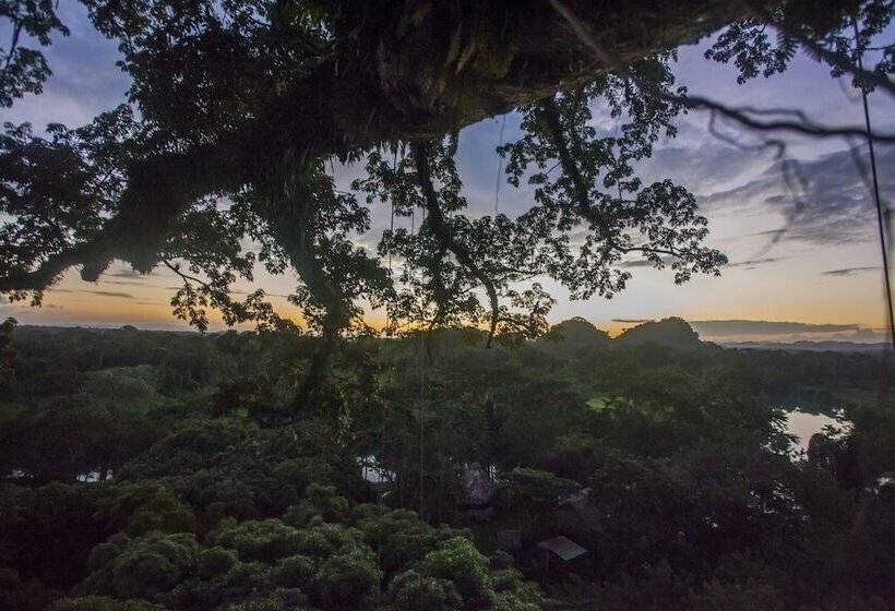 فندق Cotton Tree Lodge