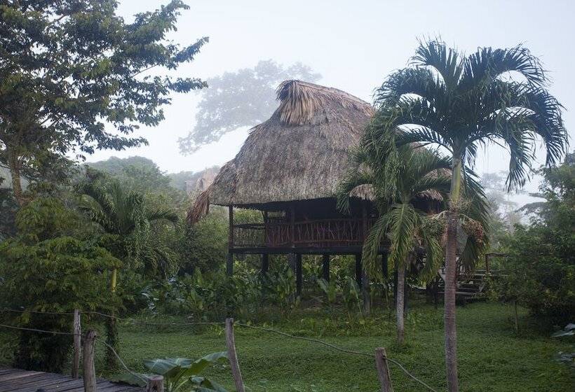 فندق Cotton Tree Lodge