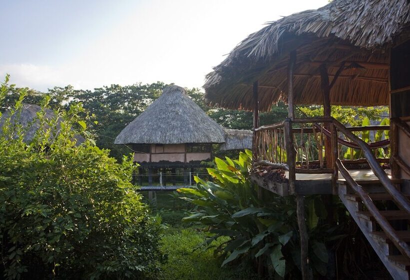 فندق Cotton Tree Lodge