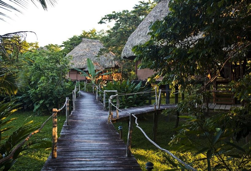 فندق Cotton Tree Lodge