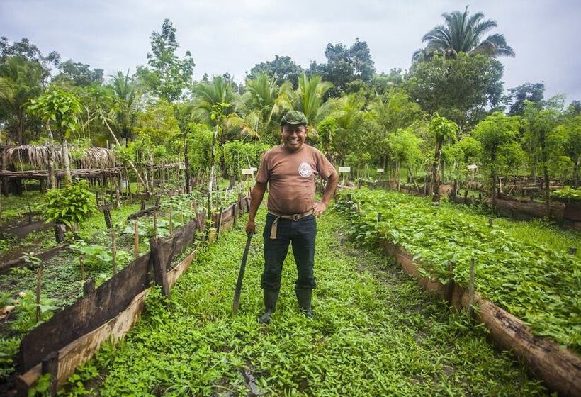 فندق Cotton Tree Lodge