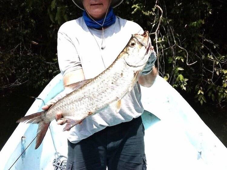 فندق Cotton Tree Lodge