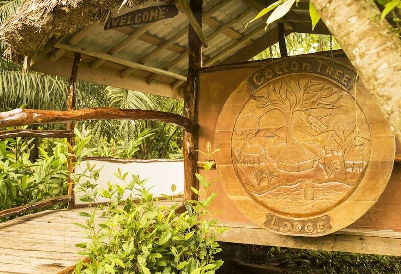 فندق Cotton Tree Lodge