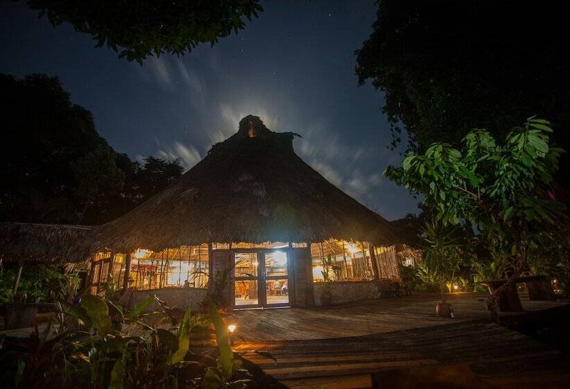 فندق Cotton Tree Lodge