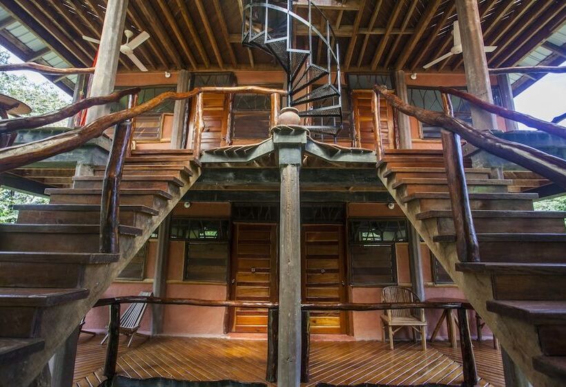 فندق Cotton Tree Lodge