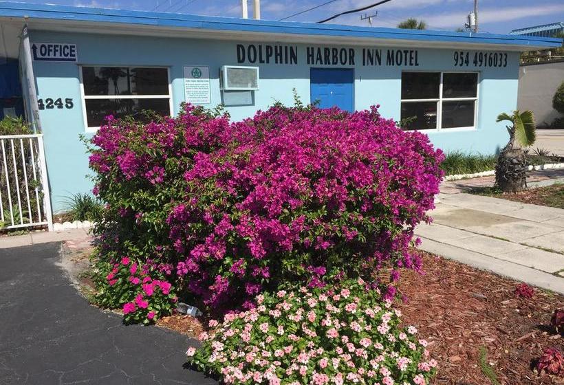 فندق Dolphin Harbor Inn