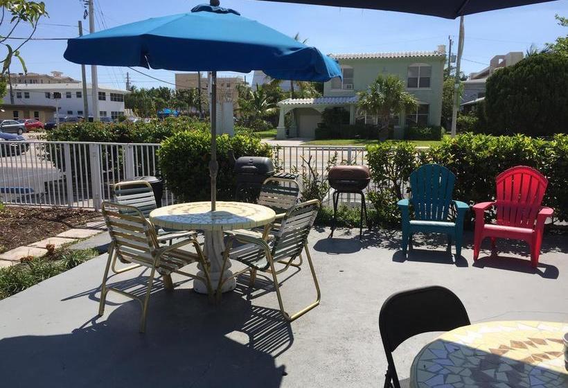 فندق Dolphin Harbor Inn