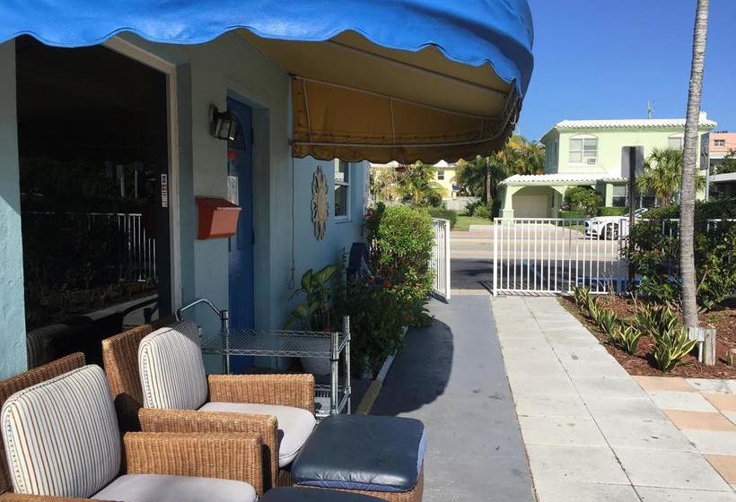 فندق Dolphin Harbor Inn