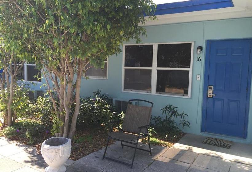 فندق Dolphin Harbor Inn