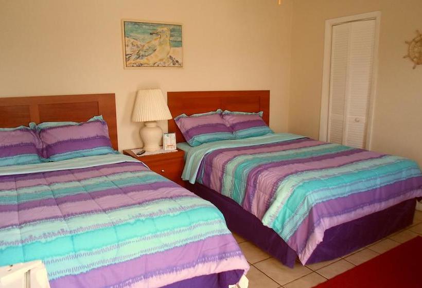 فندق Dolphin Harbor Inn