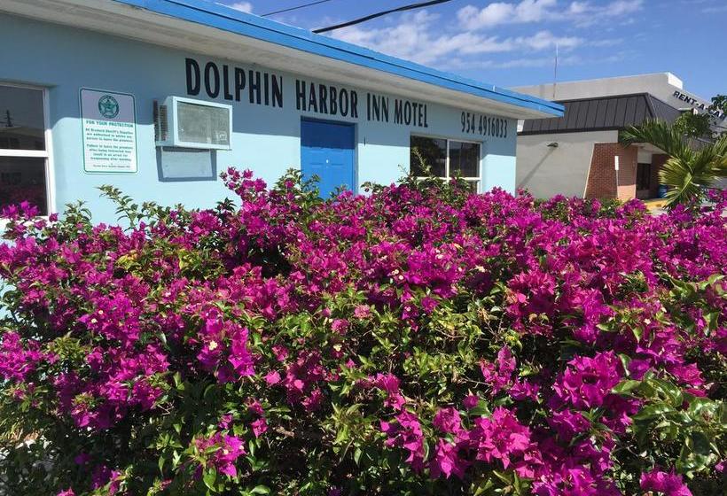 فندق Dolphin Harbor Inn