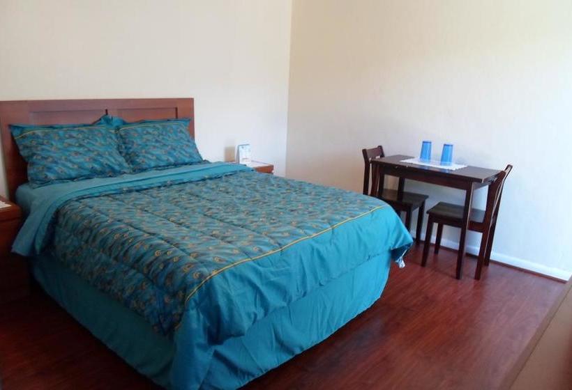 فندق Dolphin Harbor Inn