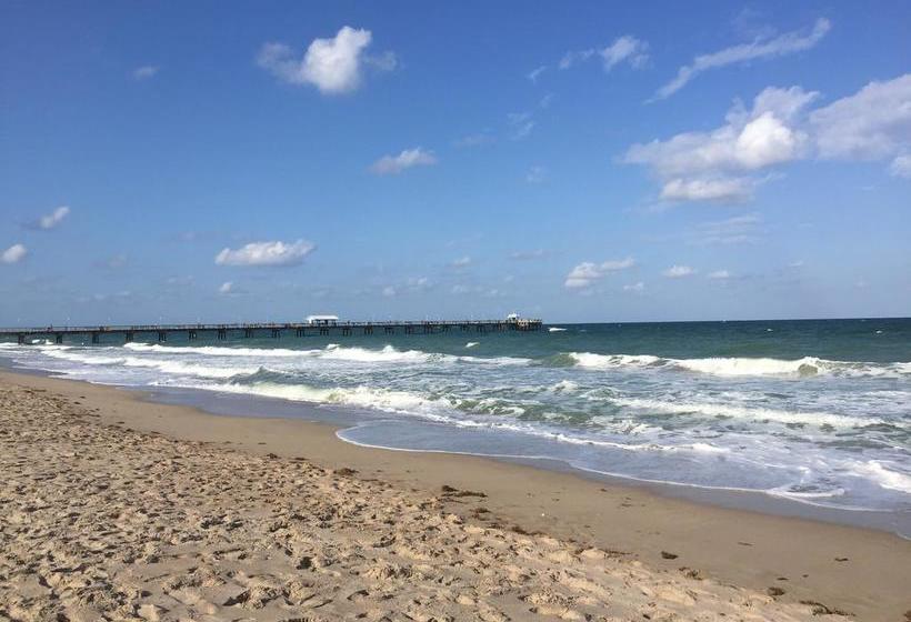 فندق Dolphin Harbor Inn