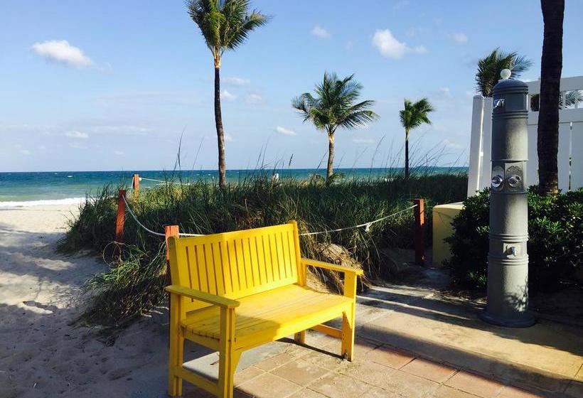 فندق Dolphin Harbor Inn