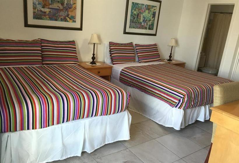 فندق Dolphin Harbor Inn