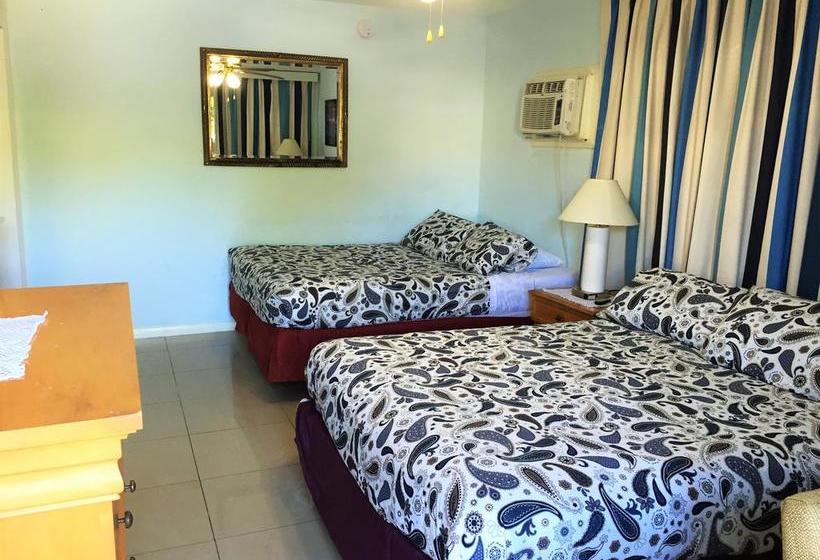 فندق Dolphin Harbor Inn