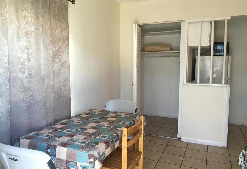 فندق Dolphin Harbor Inn