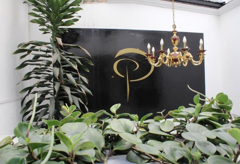 酒店 Dorado Plaza Bogota