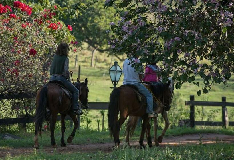 ホテル Fazenda águas Claras
