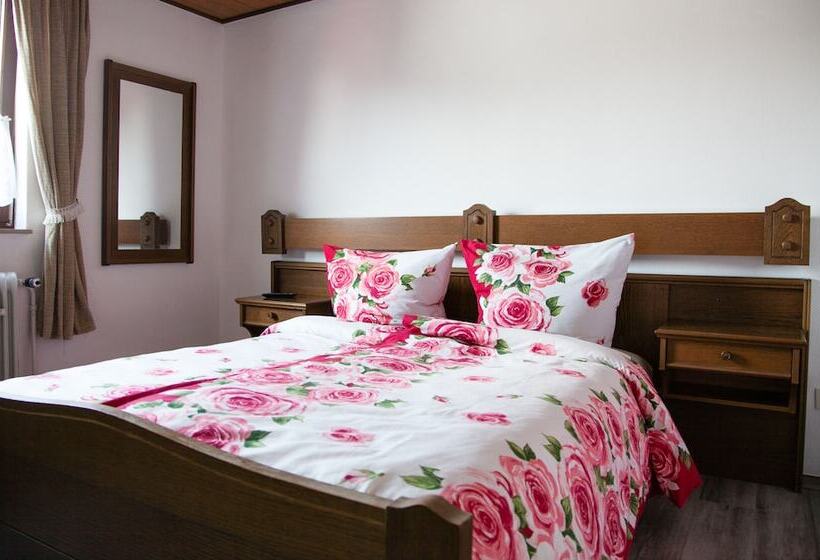 酒店 Herzog S Ulsterbrücke