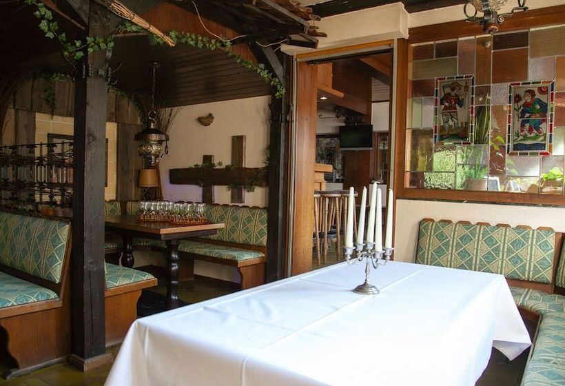 酒店 Herzog S Ulsterbrücke