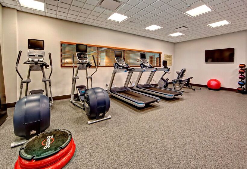 فندق Hilton Garden Inn Memphis/wolfchase Galleria