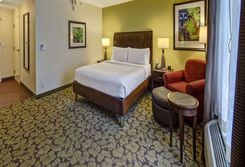 فندق Hilton Garden Inn Memphis/wolfchase Galleria