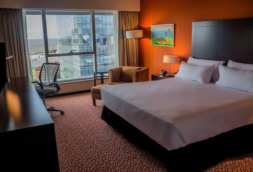 هتل Hilton Garden Inn Montevideo