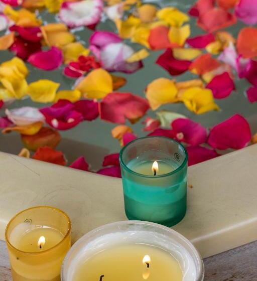 هتل Hosteria Papagayo Cotopaxi