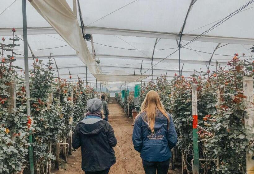 هتل Hosteria Papagayo Cotopaxi