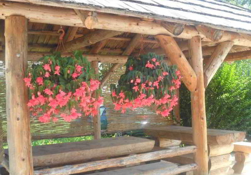 ホテル Guesthouse Sara