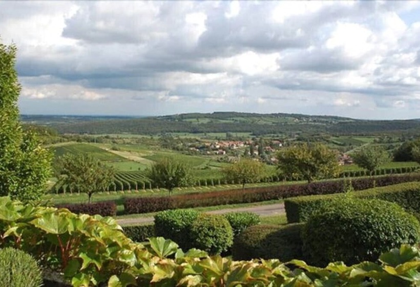 בית מלון כפרי Hôtel Restaurant La Montagne De Brancion