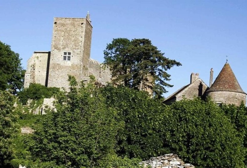 בית מלון כפרי Hôtel Restaurant La Montagne De Brancion