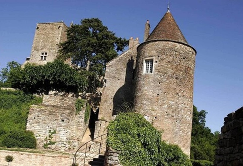 בית מלון כפרי Hôtel Restaurant La Montagne De Brancion