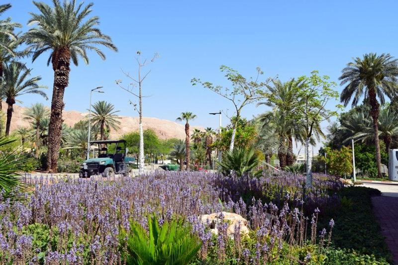 호텔 כפר נופש קליה ים המלח